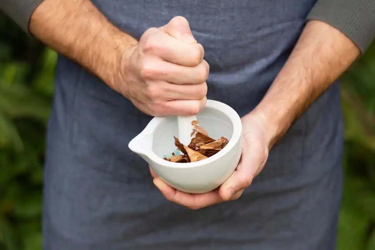 coffee grounds for gardening netherlands