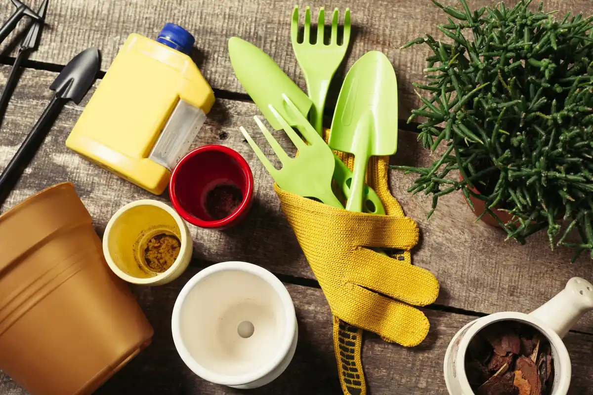 organized garden shed tools harmony feng shui netherlands