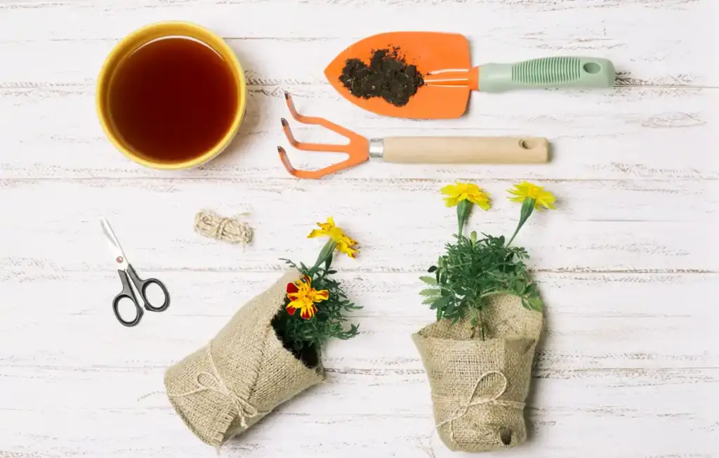 reused tea bag gardening vase