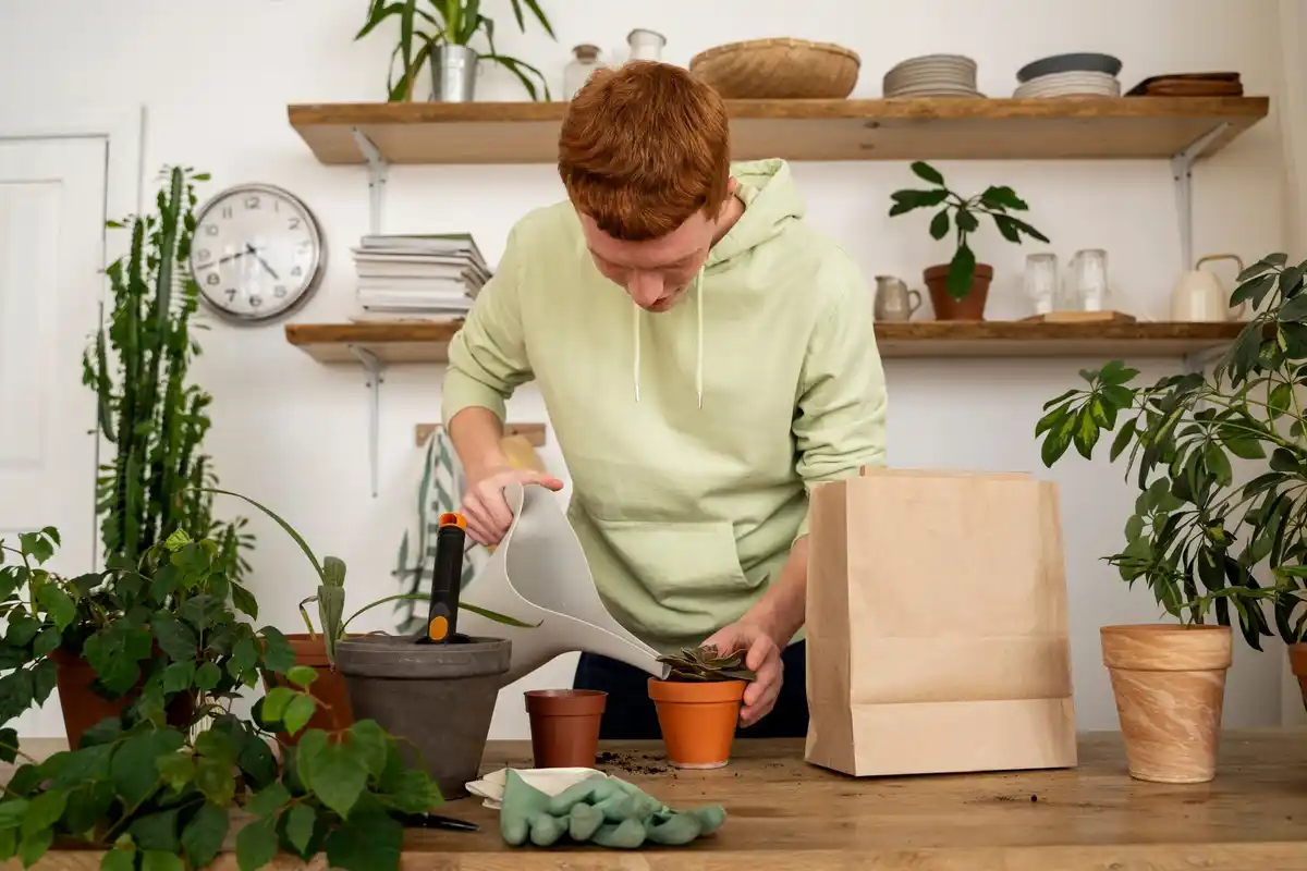 Dutch hands putting tea bags in flowerpot