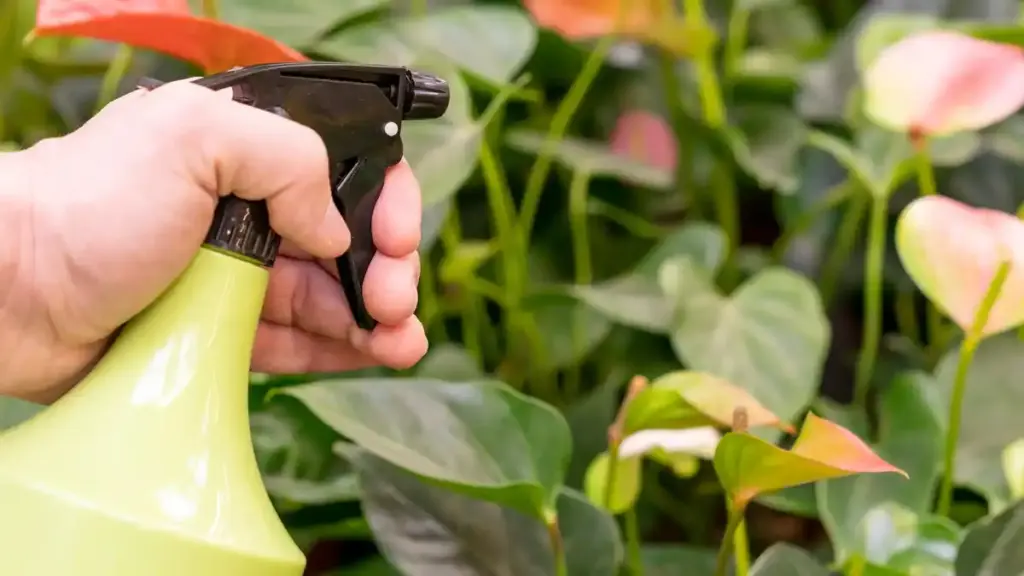 banana peel fertilizer Dutch garden