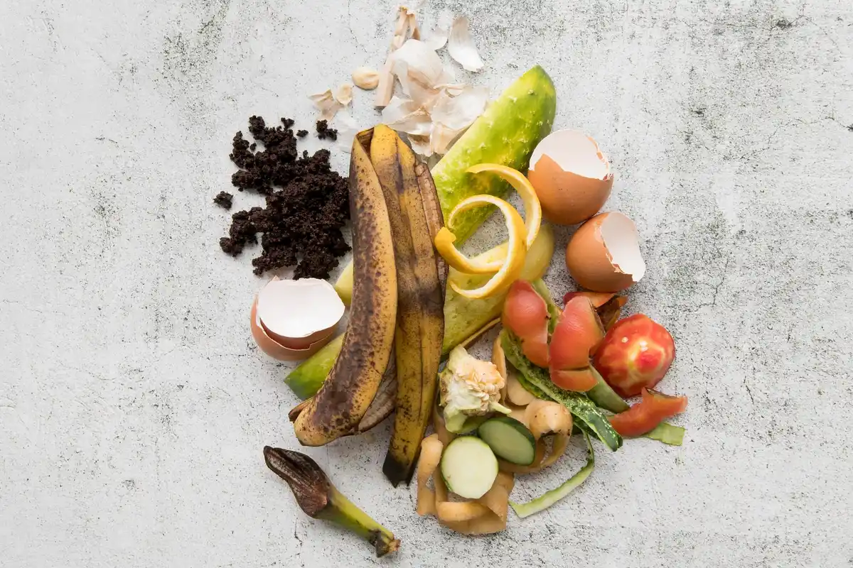 organic kitchen waste in Dutch garden