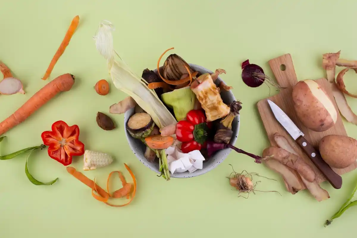 composting household waste eco friendly gardening netherlands