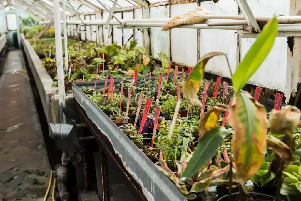 off grid greenhouse heating
