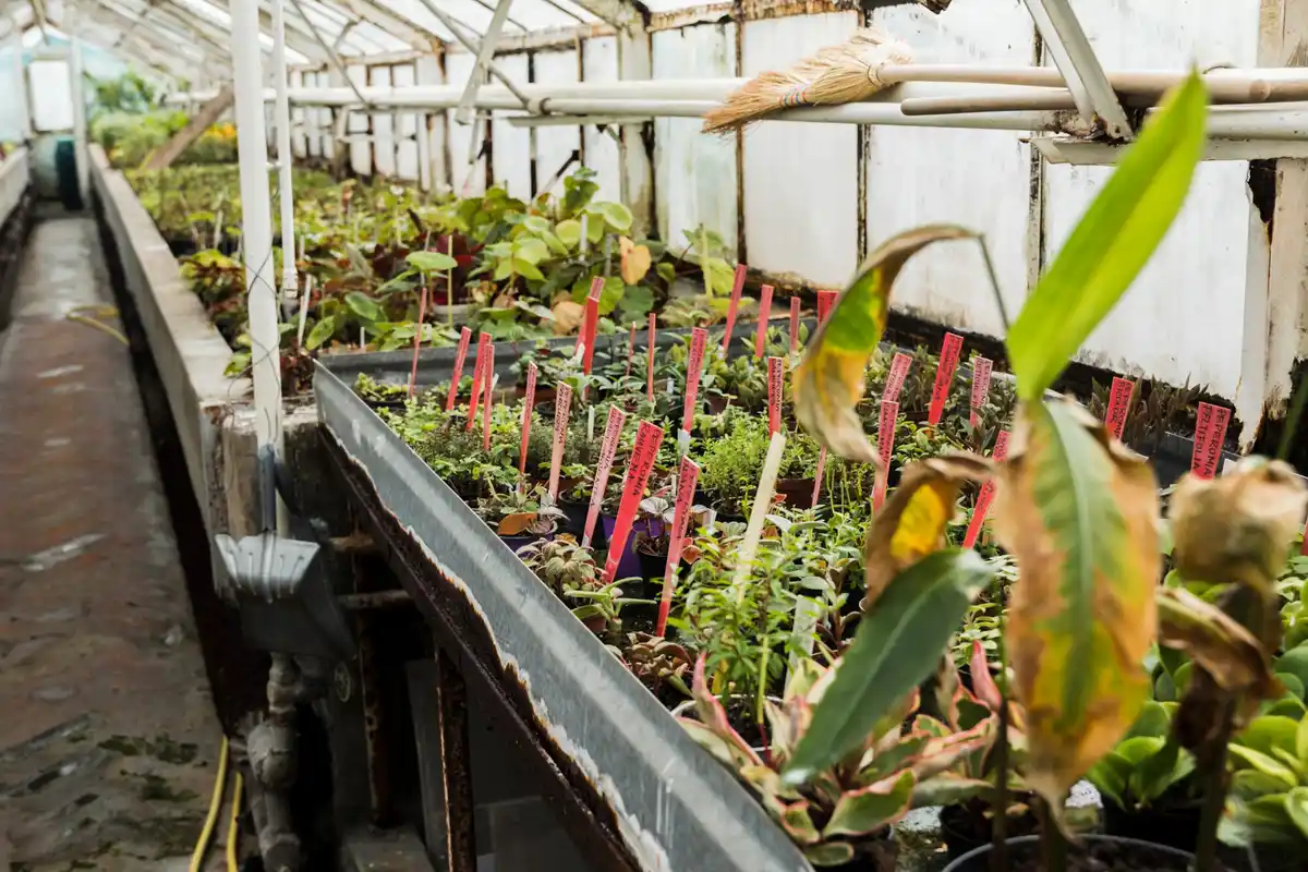 off grid greenhouse heating