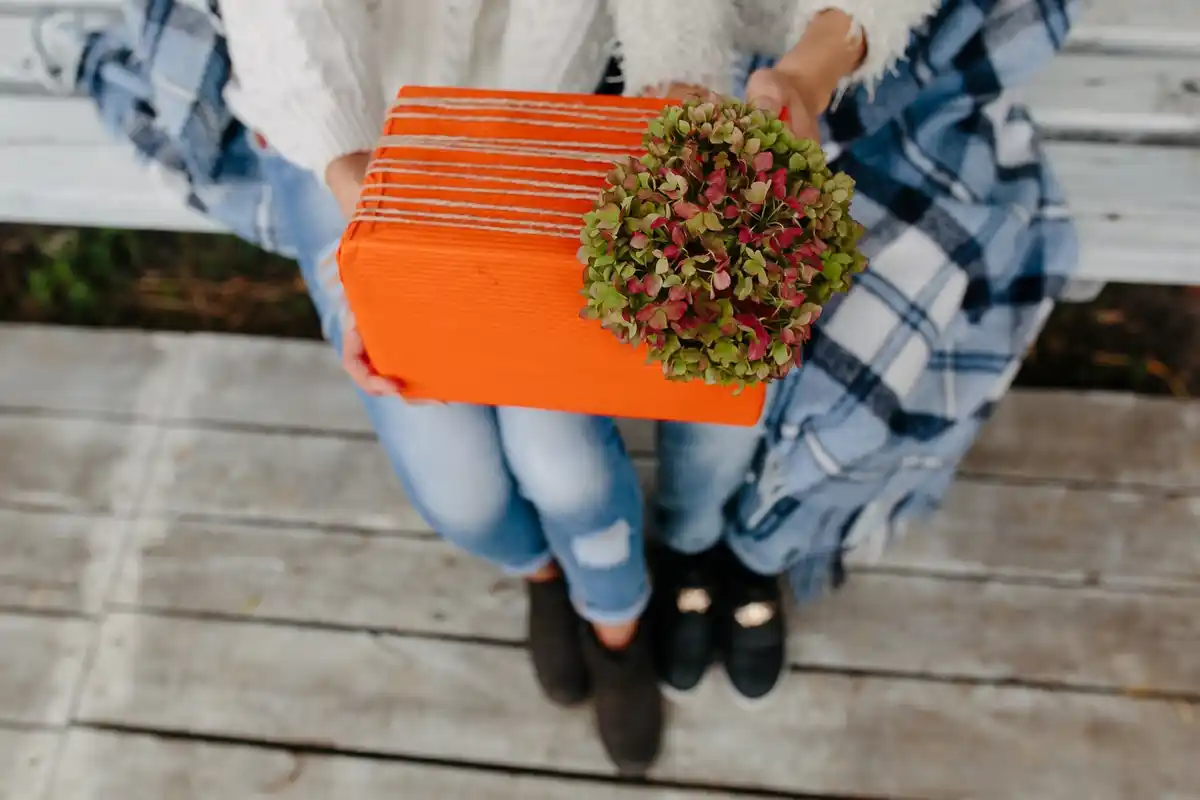 discount seed packets in Dutch garden center