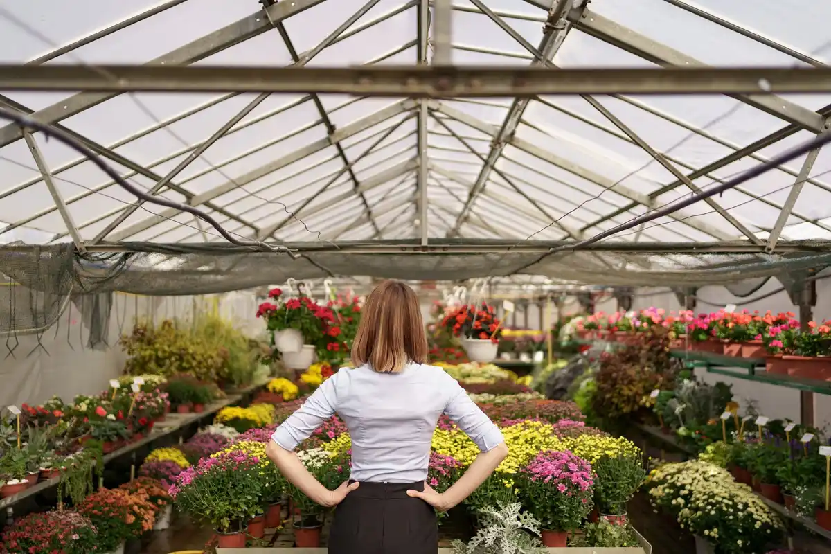 dutch greenhouse trend north facing urban garden