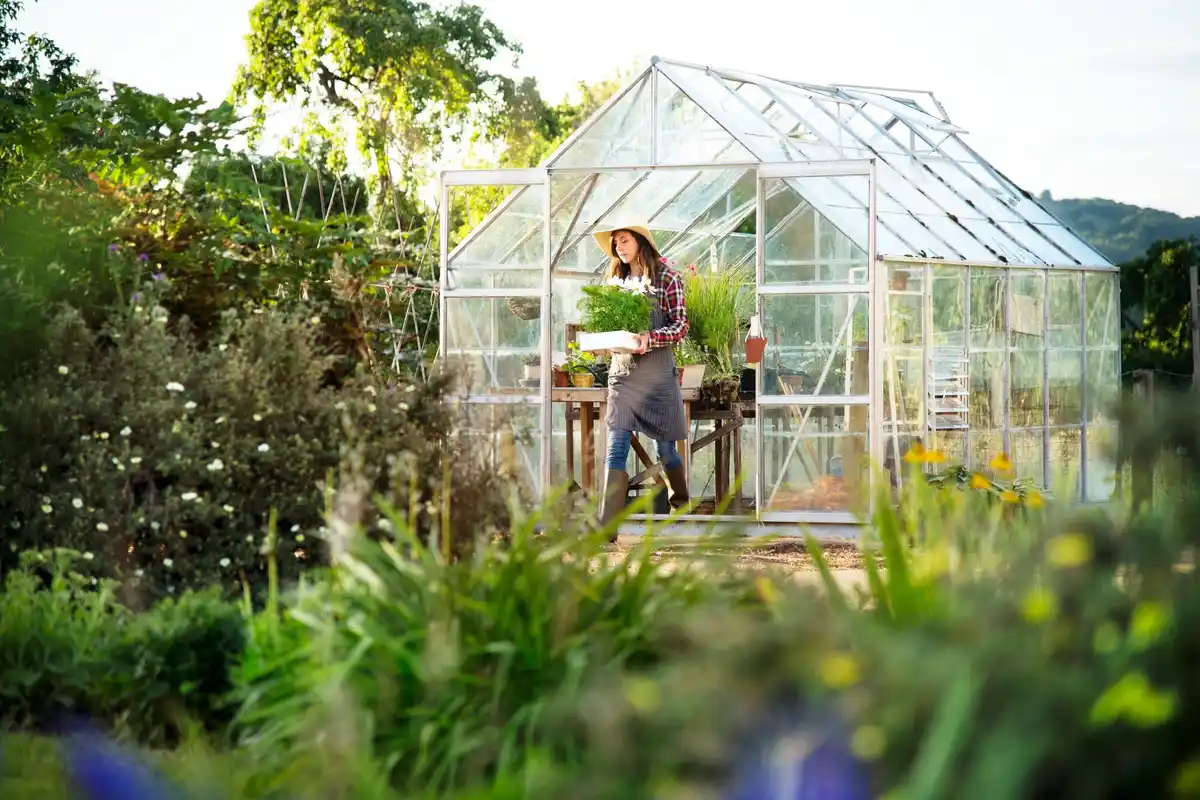 plastic bottles greenhouse dutch garden