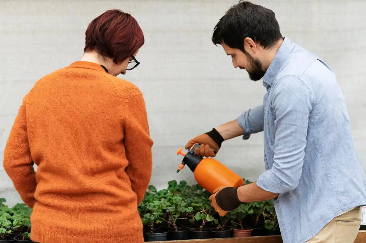 DIY plastic bottle watering system greenhouse