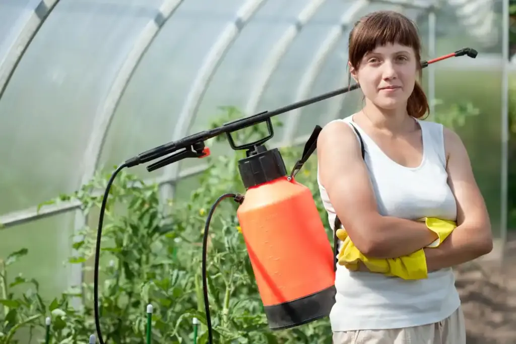 dutch greenhouse natural mold prevention method