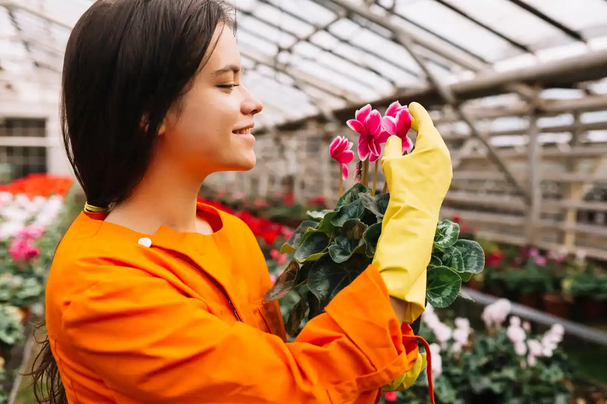dutch greenhouse interior plants no chemicals grandma method