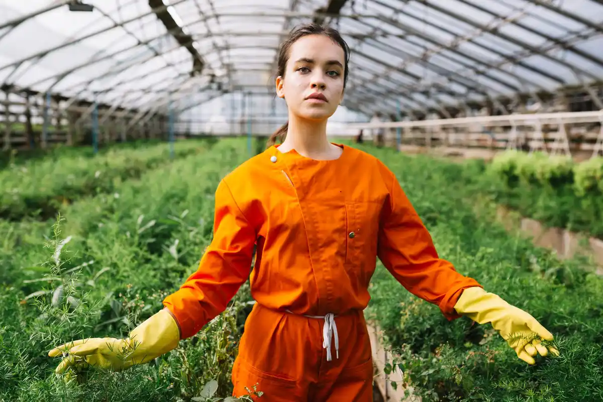 natural mold prevention greenhouse dutch practical