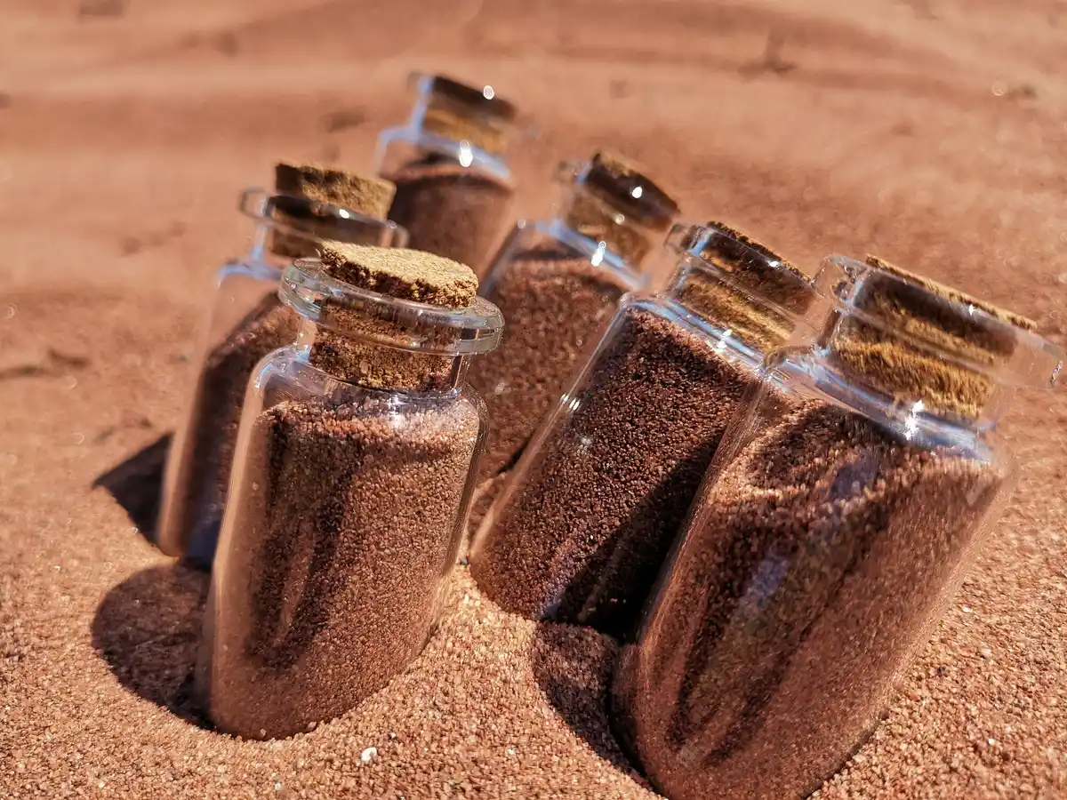 used coffee grounds in garden Netherlands