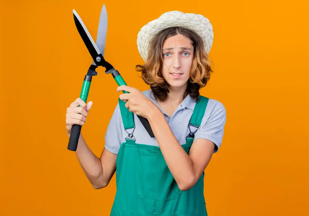 dutch ratchet pruning shears in use in garden