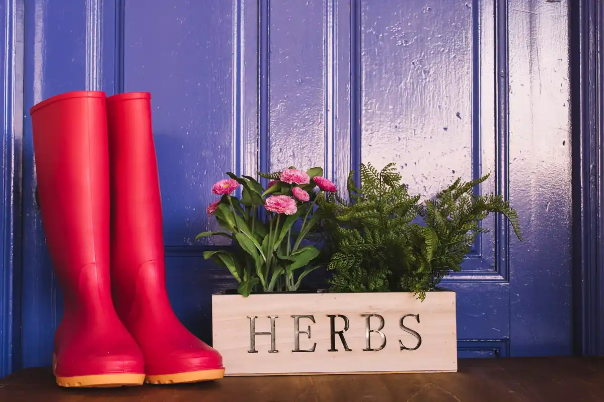 feng shui purple flowers front door netherlands