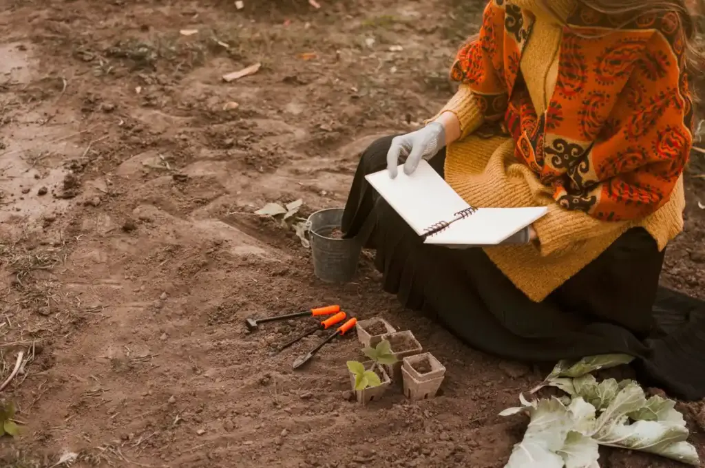 Dutch newspaper mulch garden