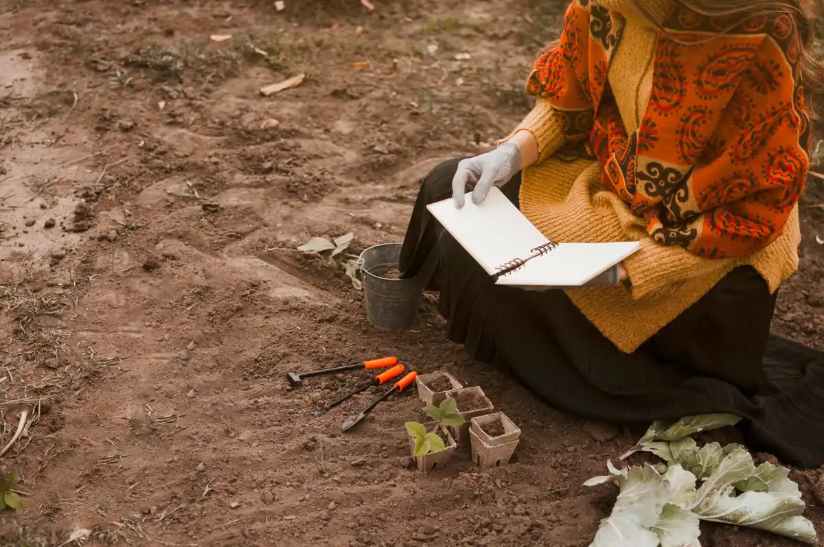 Dutch newspaper mulch garden