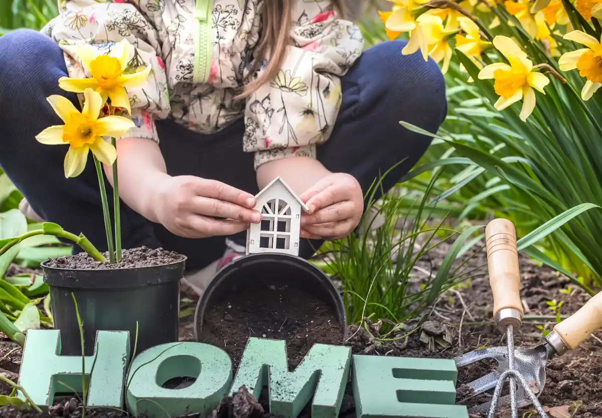 Netherlands DIY garden with newspapers