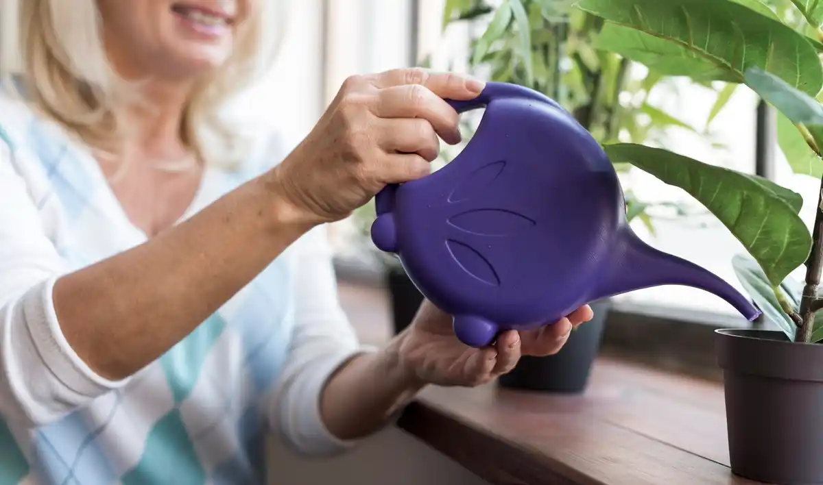ergonomic garden tools for seniors netherlands