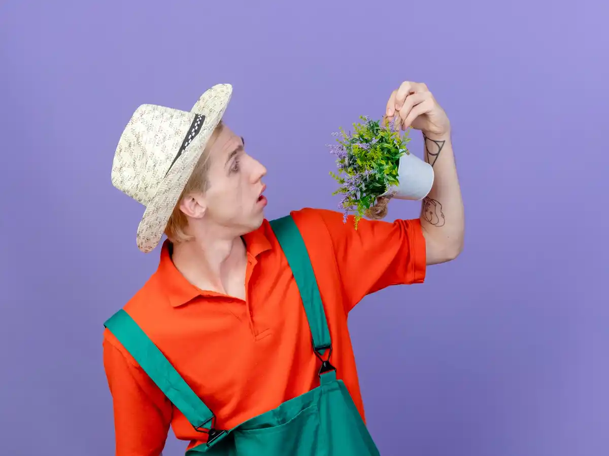 ergonomic garden tools older adults netherlands
