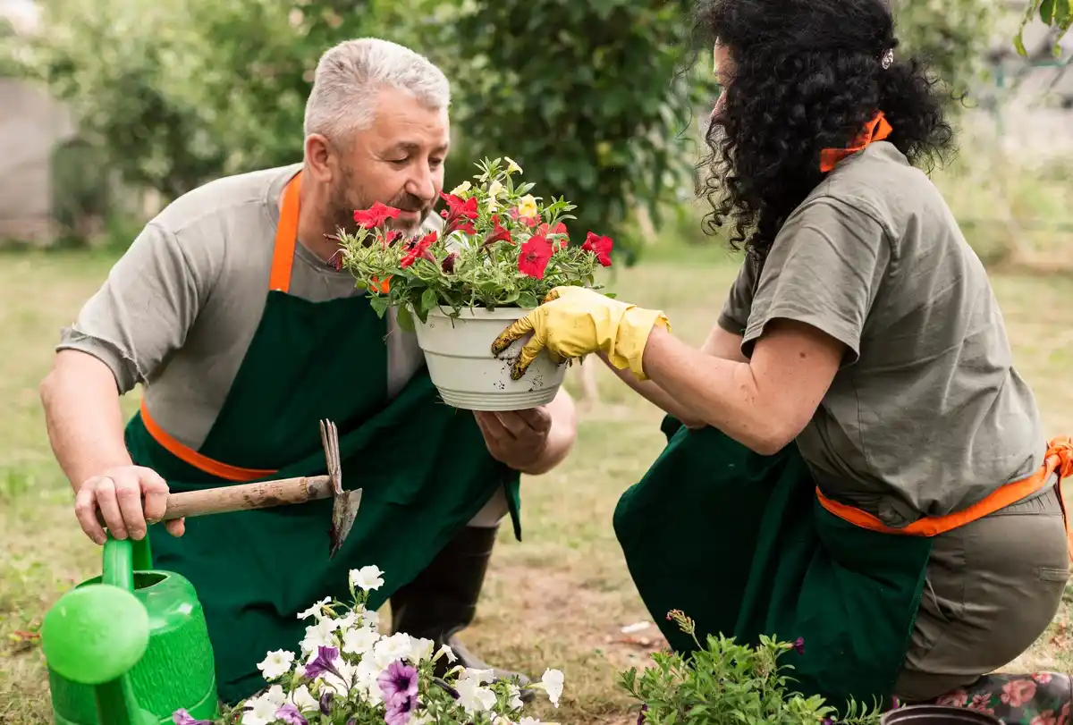 Dutch seniors gardening ergonomic tools backyard