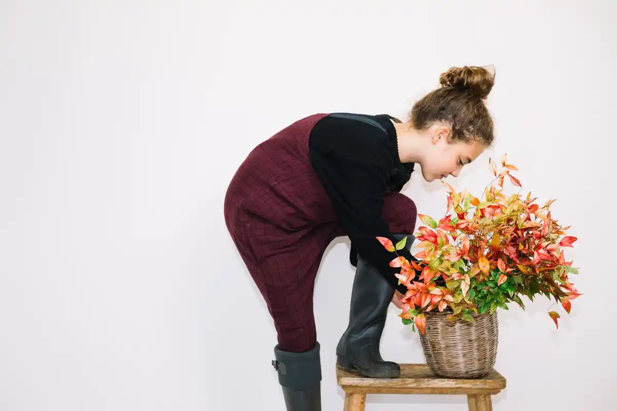 pantyhose gardening Dutch home plants