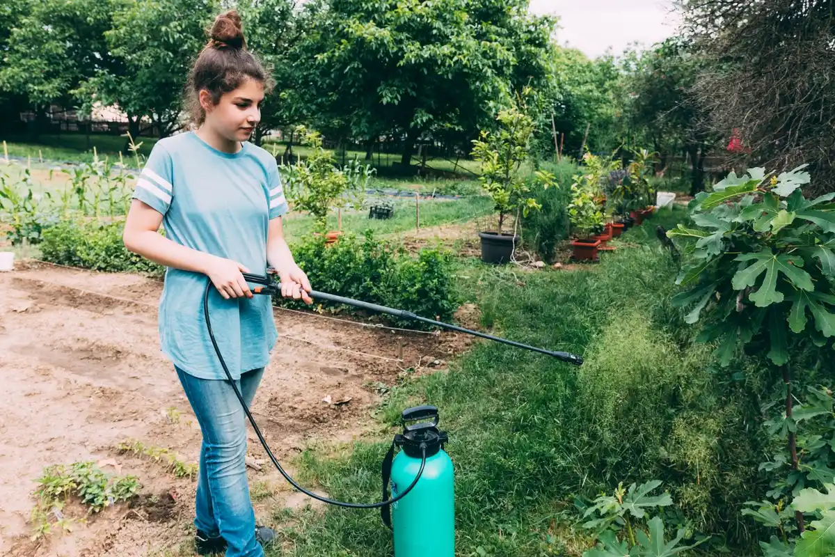 Dutch urban garden with sustainable pest control
