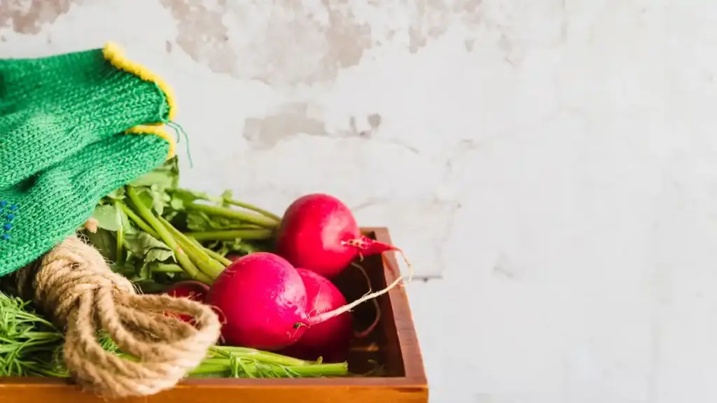 growing vegetables from kitchen scraps Netherlands
