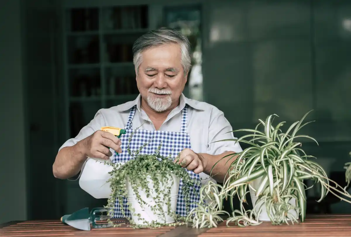 senior Dutch man urban greenhouse tools
