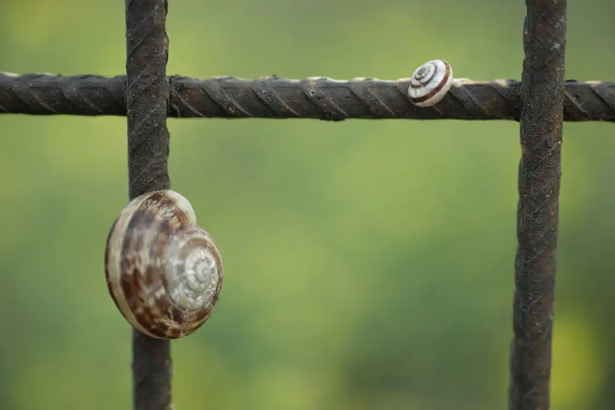 coiled garden hose eight shape hanging on wall close-up