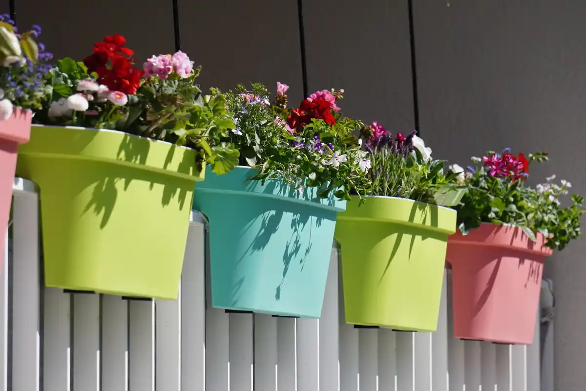 vertical herb garden urban apartment dutch