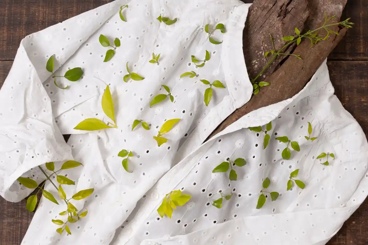 germinating seeds fast kitchen paper towel