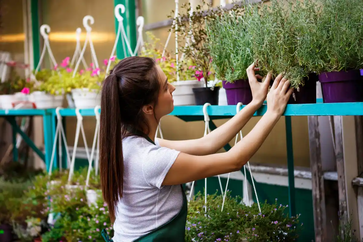 diy washi shoji greenhouse netherlands urban