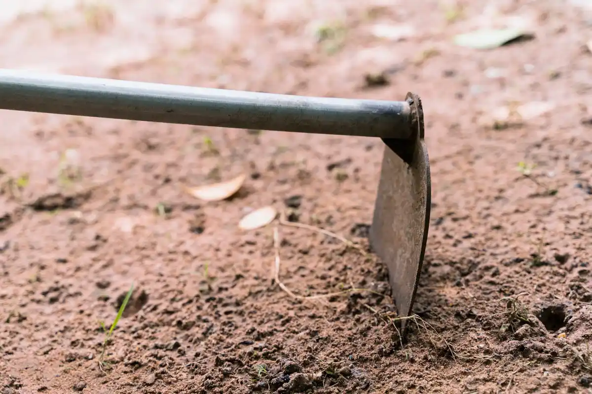 cultivator woelvork close up netherlands garden