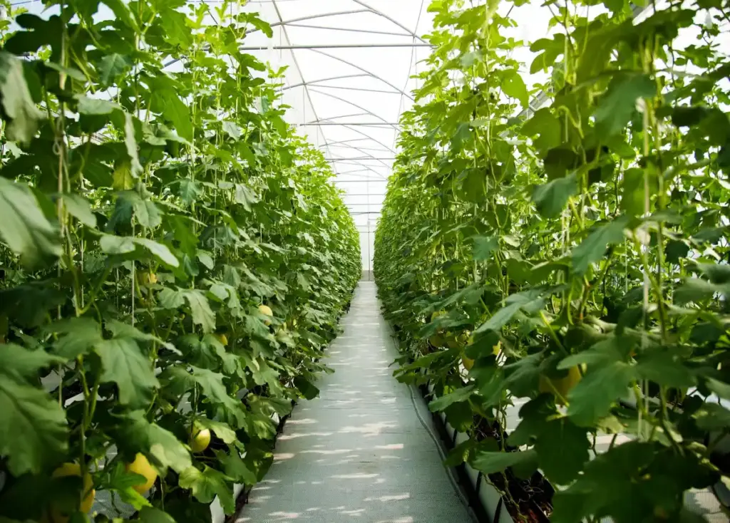vertical greenhouse garden netherlands