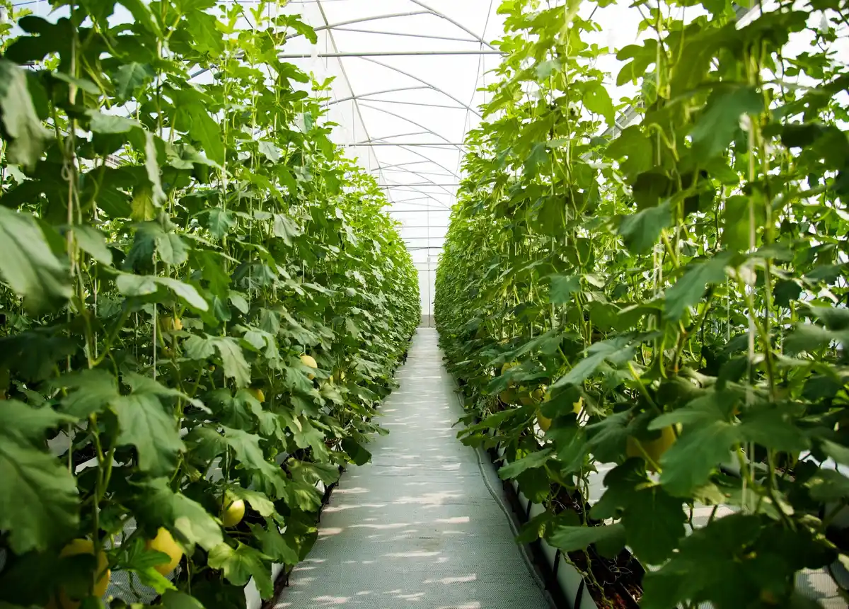 vertical greenhouse garden netherlands