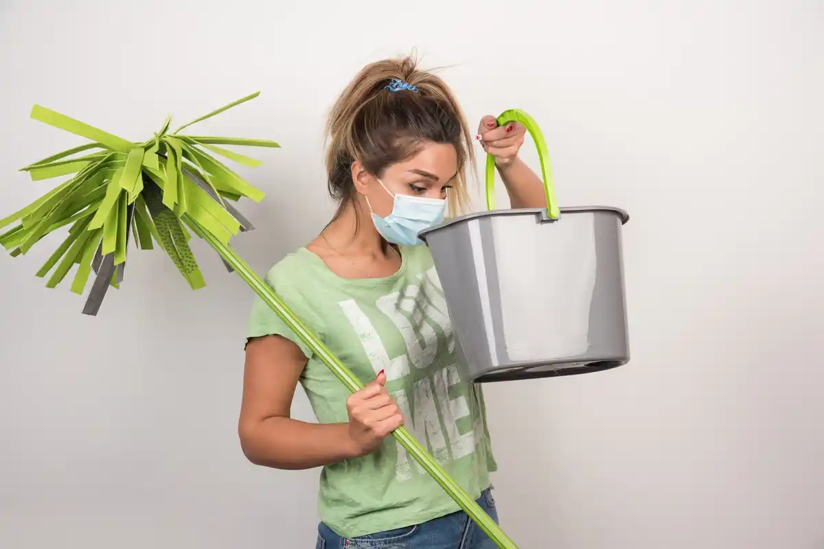 houseplants ventilation problem dutch home