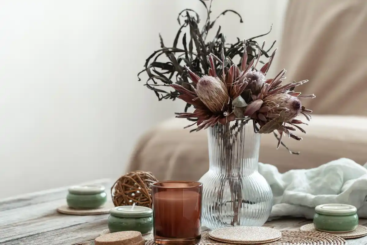feng shui plant arrangement modern dutch home