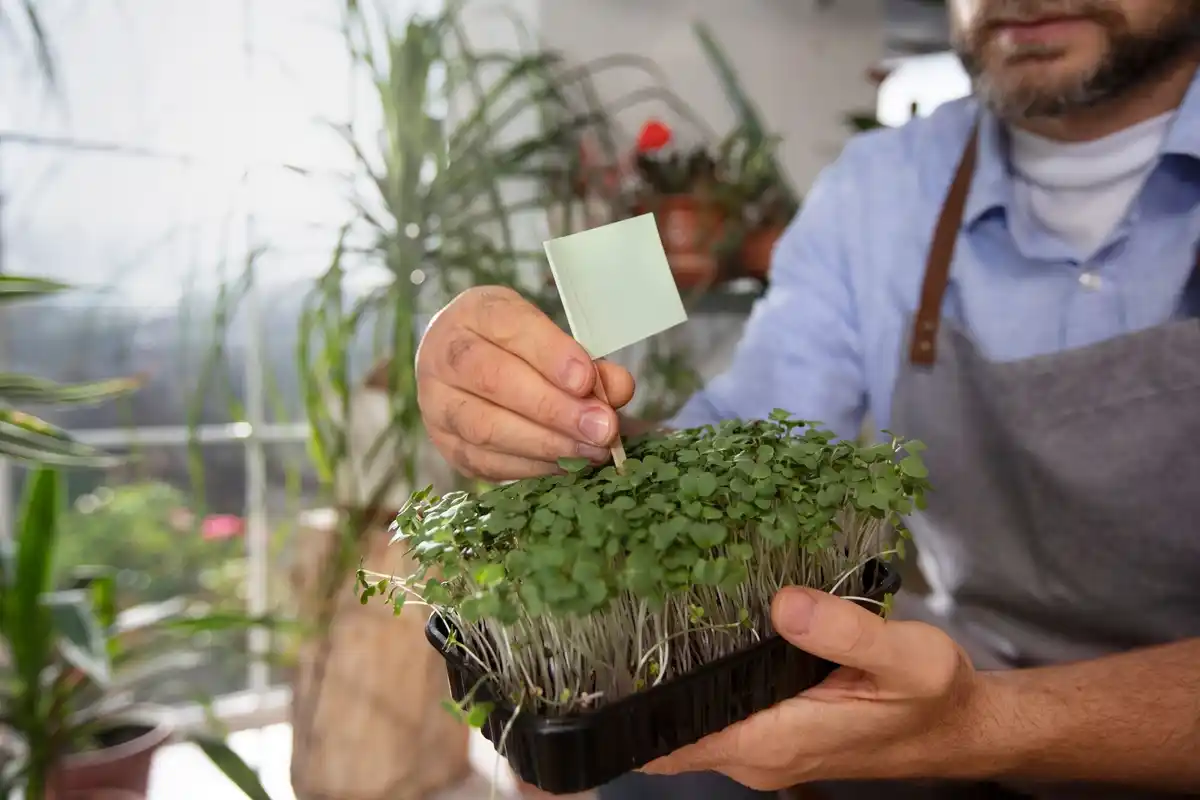 bad quality garden seeds packaging