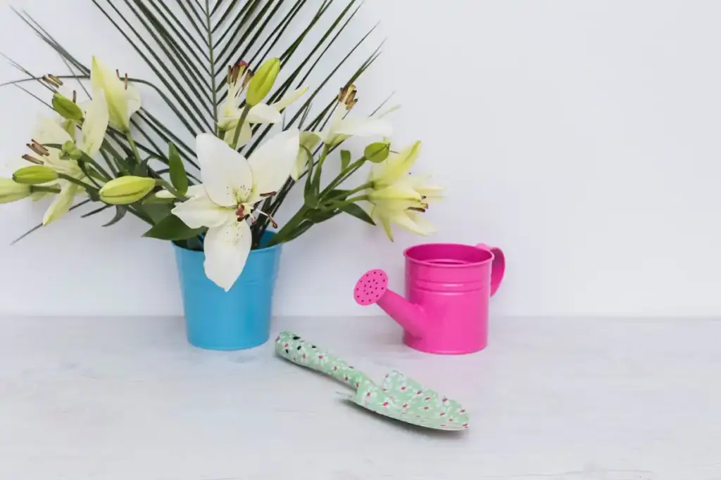 Peace lily indoor plant air purification Dutch home