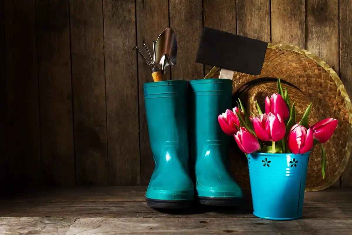 rusty gardening tools on old wooden shelf