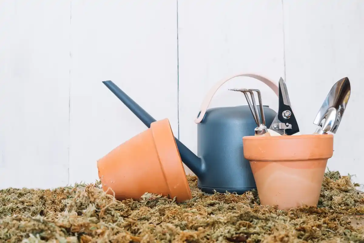 organized gardening tools hanging in bright Dutch shed