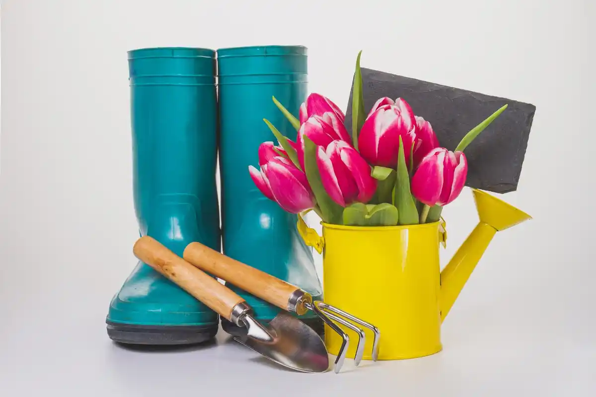 feng shui organized garden shed tools dutch backyard
