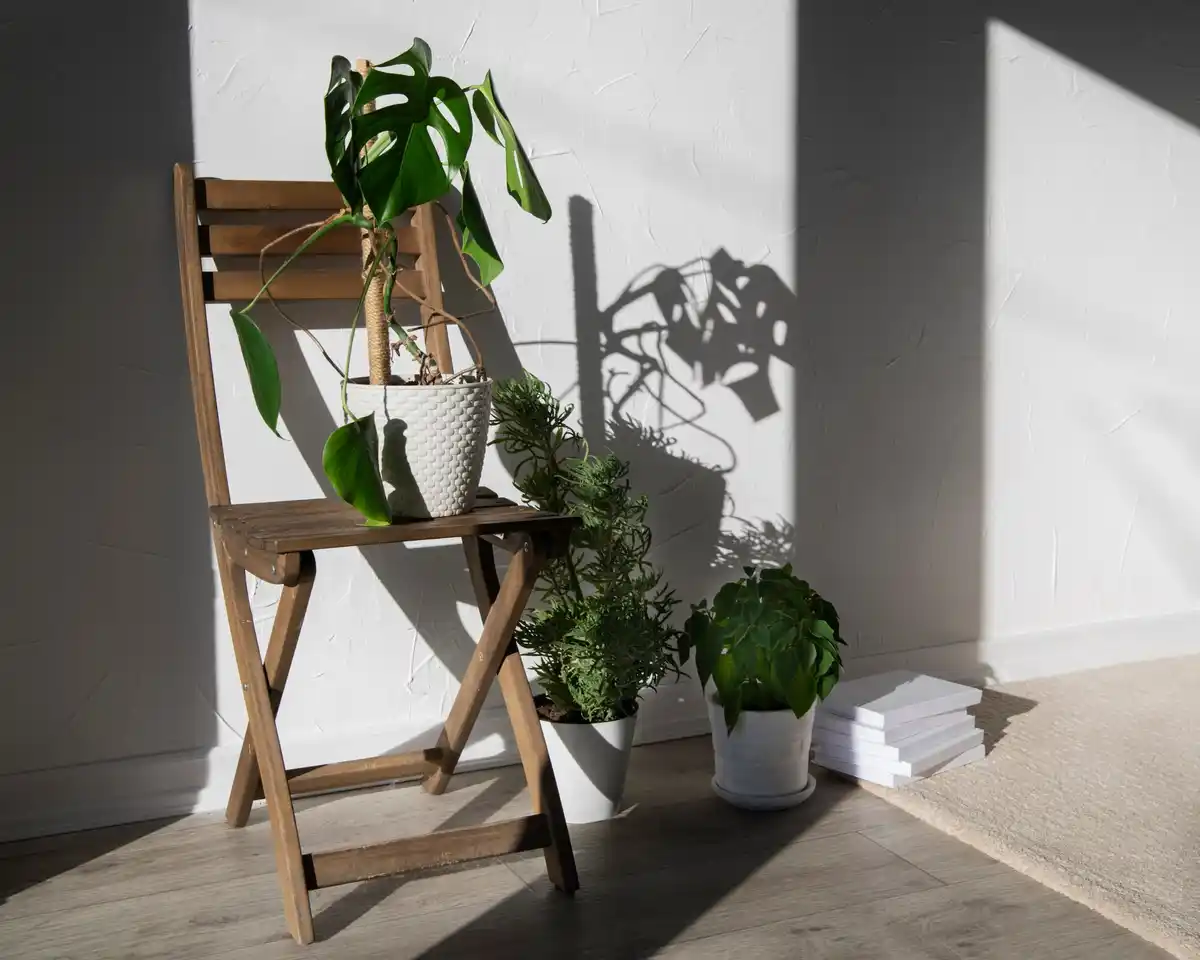 minimalist dutch garden shed interior natural light feng shui