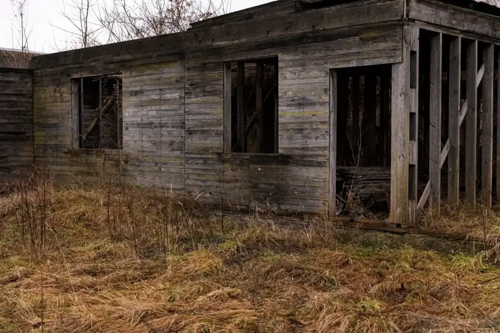 neglected greenhouse winter damage Netherlands