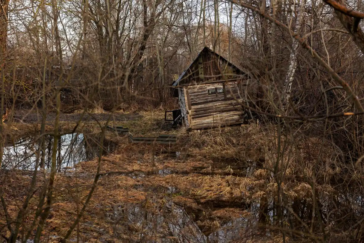 neglected greenhouse with visible mold and decay Netherlands winter