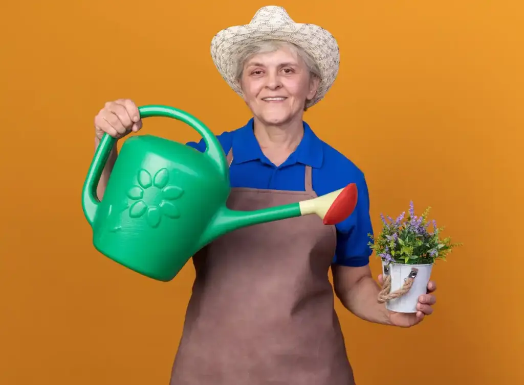 Dutch grandma growing radishes in teapots windowsill