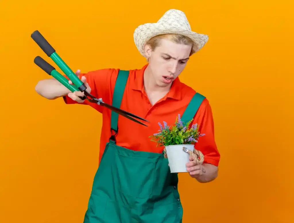 Netherlands garden tools maintenance tips