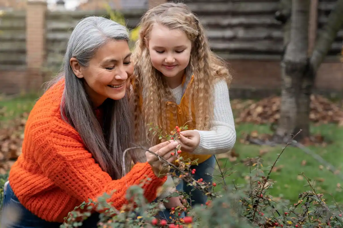 elderly woman gardening blueberries netherlands