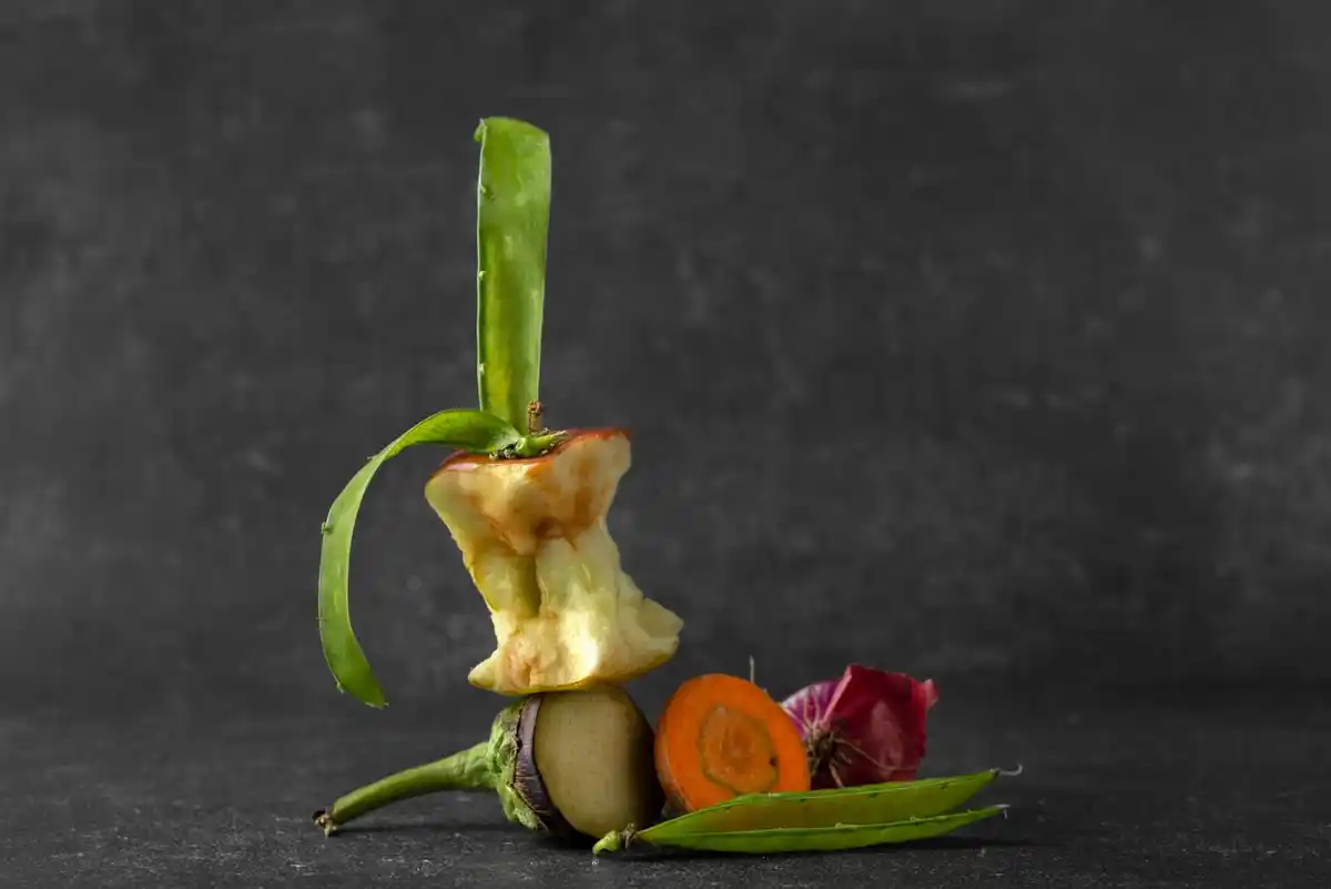 banana peel in rose garden soil
